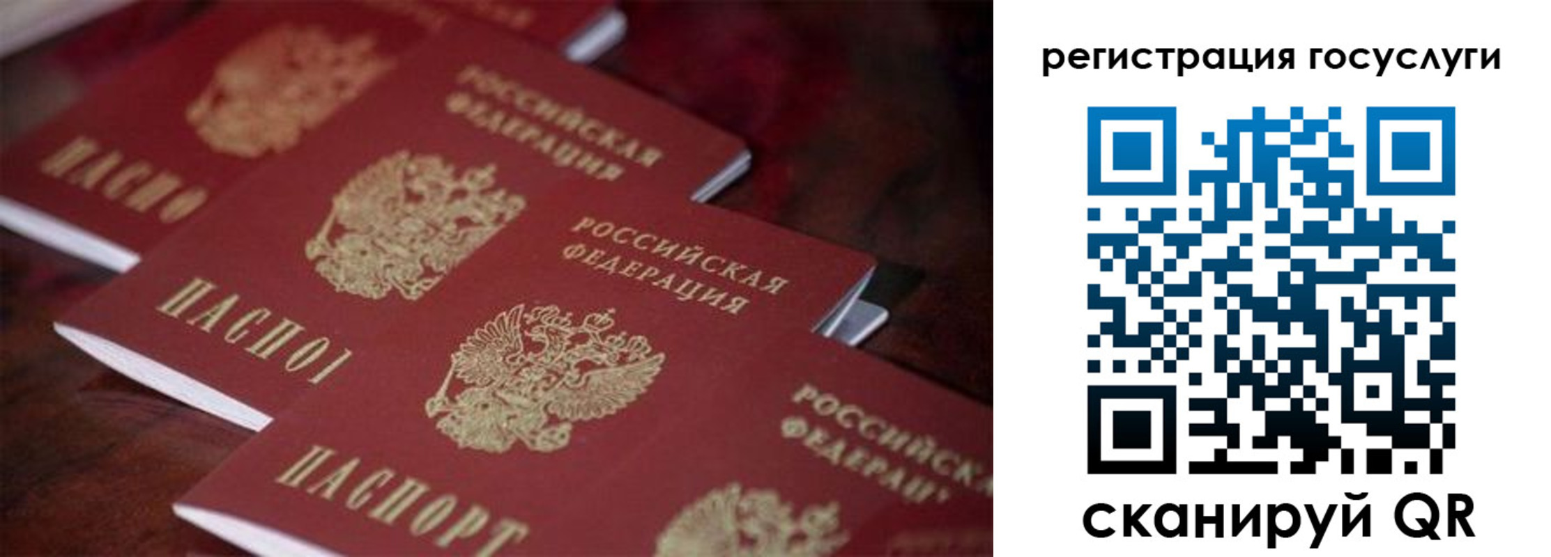 где прописаться в Мурино